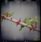 ????????????????????????????????????????????????????????????????